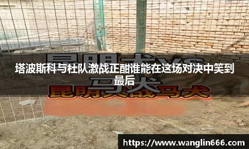 bsports必一体育