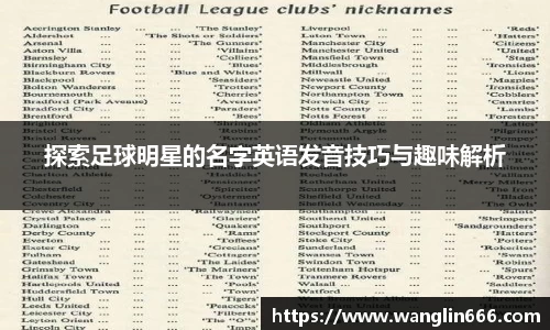 必一运动bsport体育