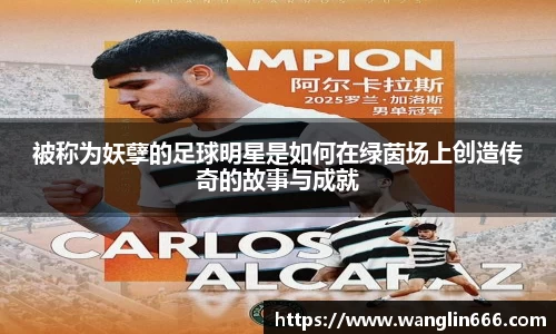 必一运动bsport体育