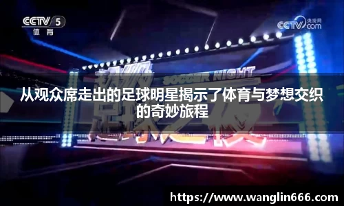 必一运动bsport体育